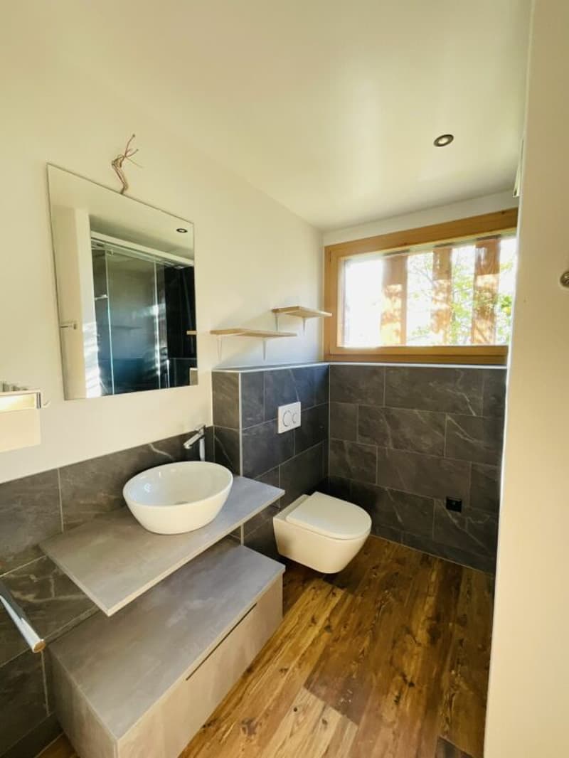 Appartement de 5.5 pièces dans le Bourg Médiéval de Saillon (17)