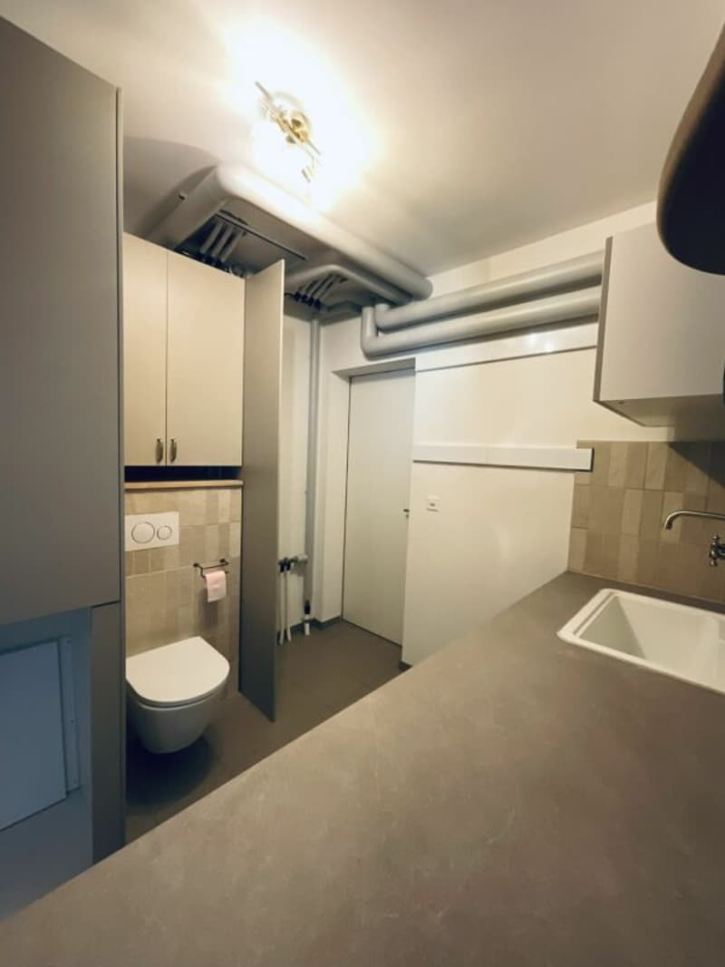 Appartement de 5.5 pièces dans le Bourg Médiéval de Saillon (27)