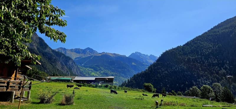 Villa mitoyenne de 4.5 pièces sur la Commune du Val de Bagnes (9)