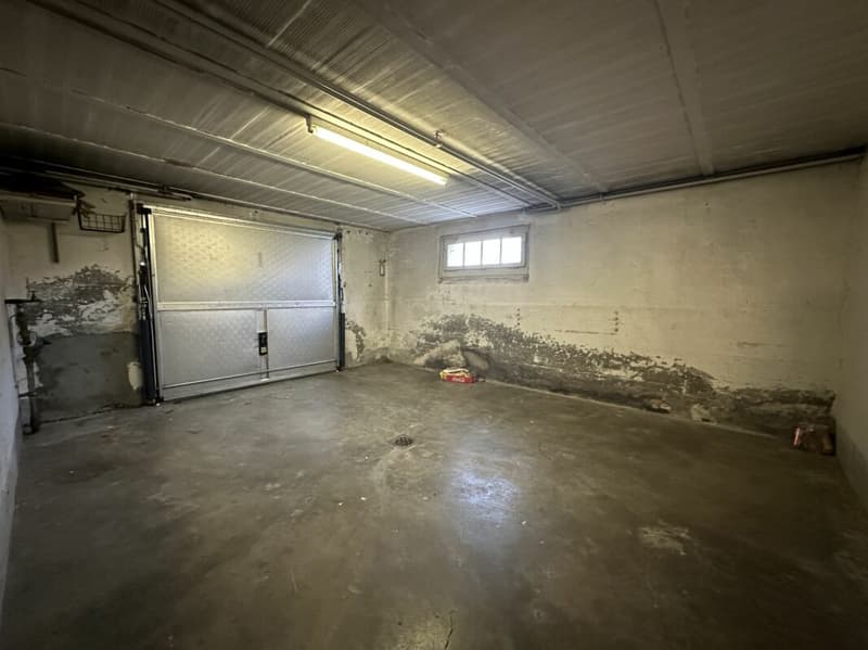 Villa individuelle - deux appartements (20)