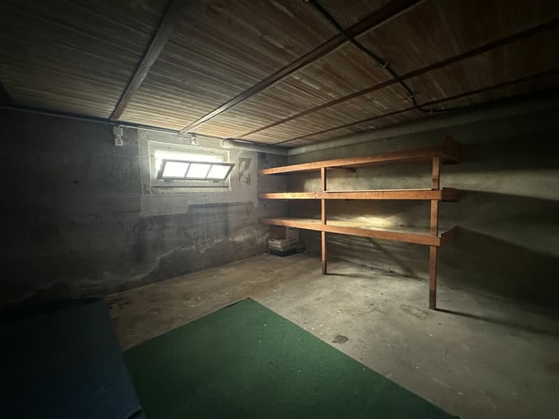 Villa individuelle - deux appartements (18)