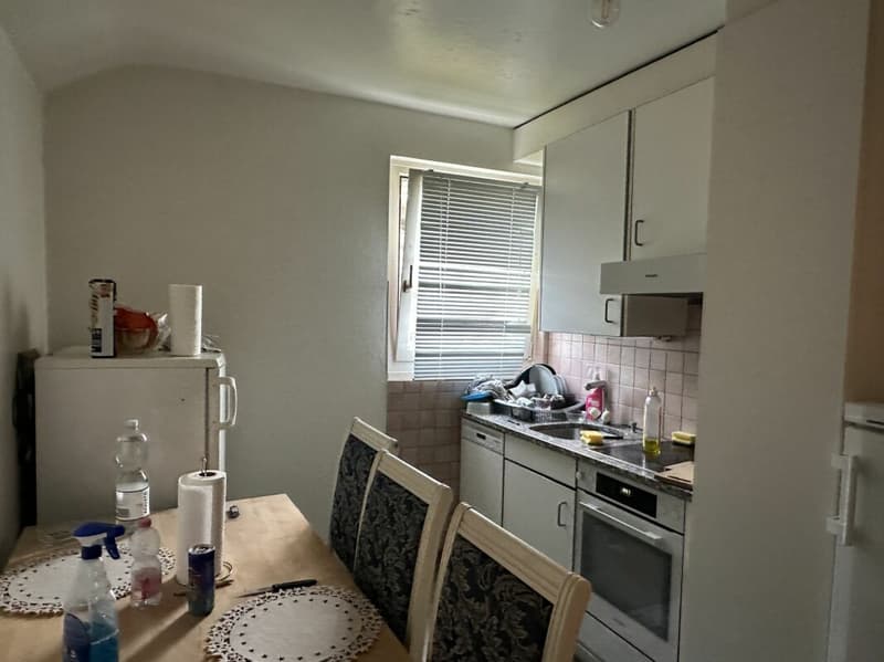 Villa individuelle - deux appartements (14)