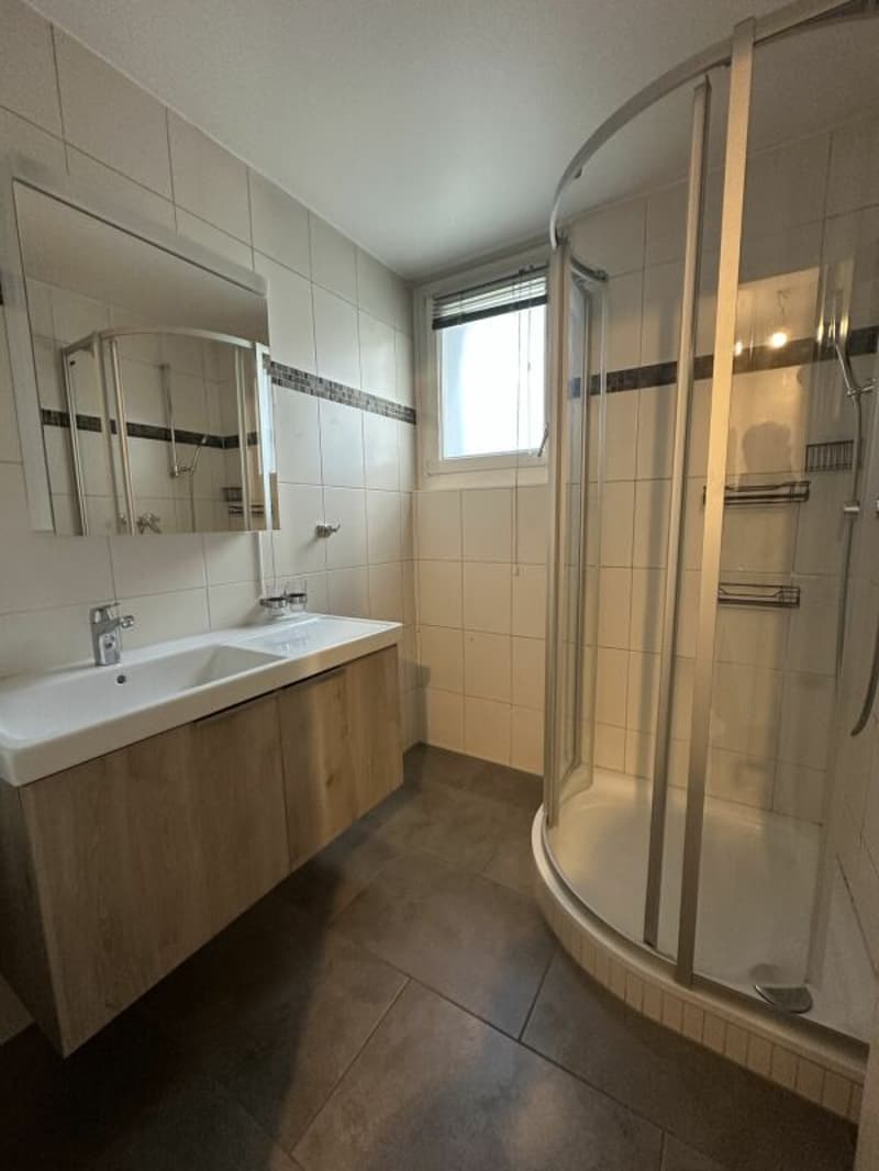 Villa individuelle - deux appartements (12)