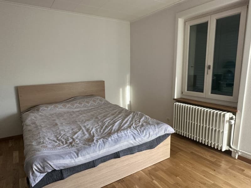 Villa individuelle - deux appartements (15)