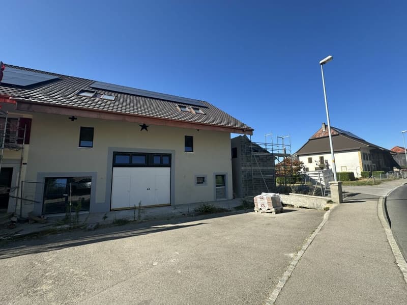 APPARTEMENT DUPLEX DE 5.5 PIECES (2)