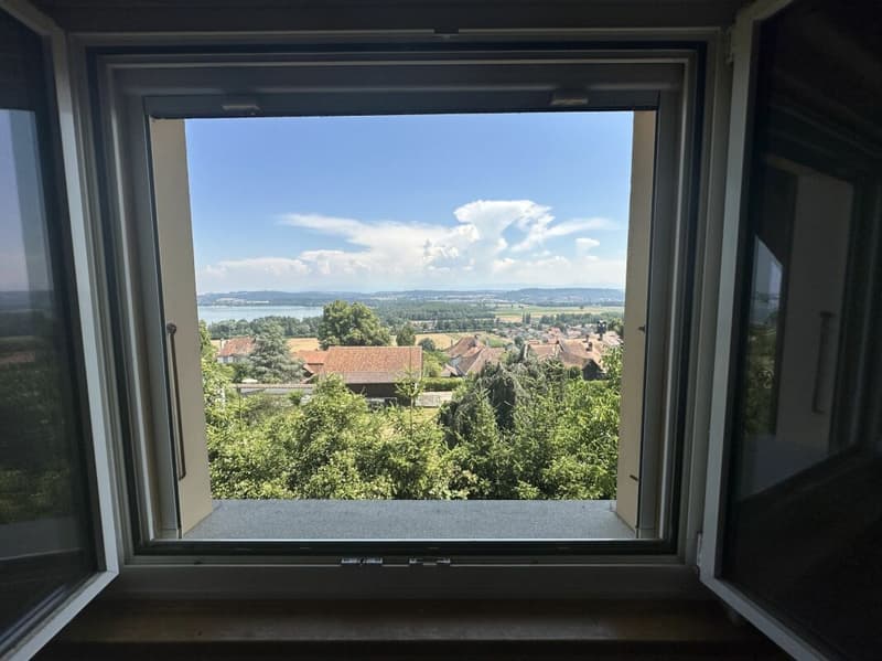Villa familiale individuelle - vue imprenable (4)