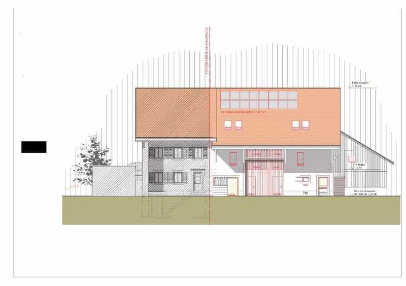 APPARTEMENT DUPLEX DE 4.5 PIECES (4)
