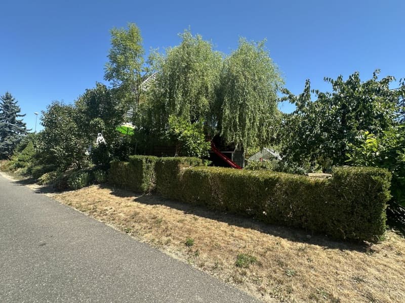 Villa individuelle de 5.5 pièces avec garage - 5.5 ZI-Einfamilienhaus mit Garage (29)