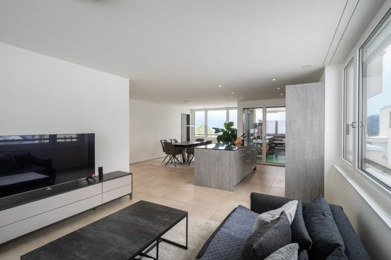 Appartement moderne dans un quartier calme avec vue fantastique (3)