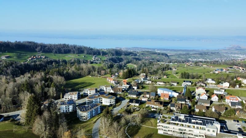 Nuova costruzione Hasenbühl Casa D (7)