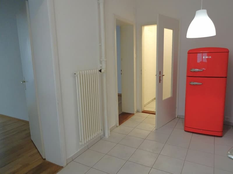 Zentrale Wohnung in Seenähe (2)