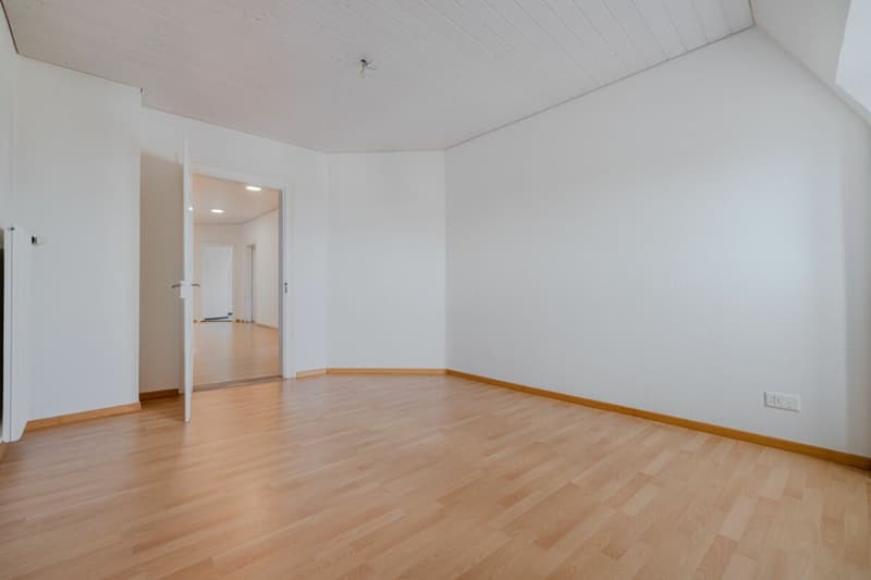 Einzigartige Dachwohnung in Seenähe (13)