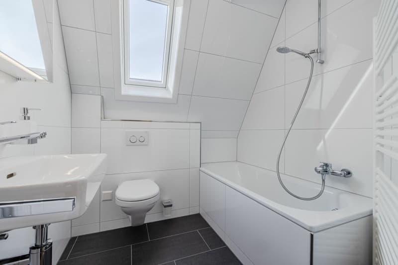 Einzigartige Dachwohnung in Seenähe (8)