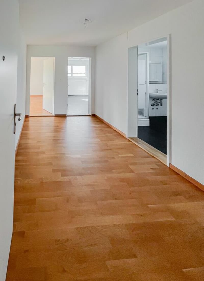 Helle Wohnung im Grünen mit grossem Balkon (7)