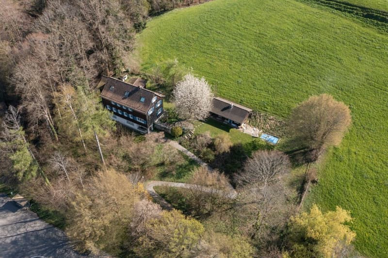 Wunderschönes, modern ausgebautes  Einfamilienhaus mit absoluter Privatsphäre und Seesicht (4)