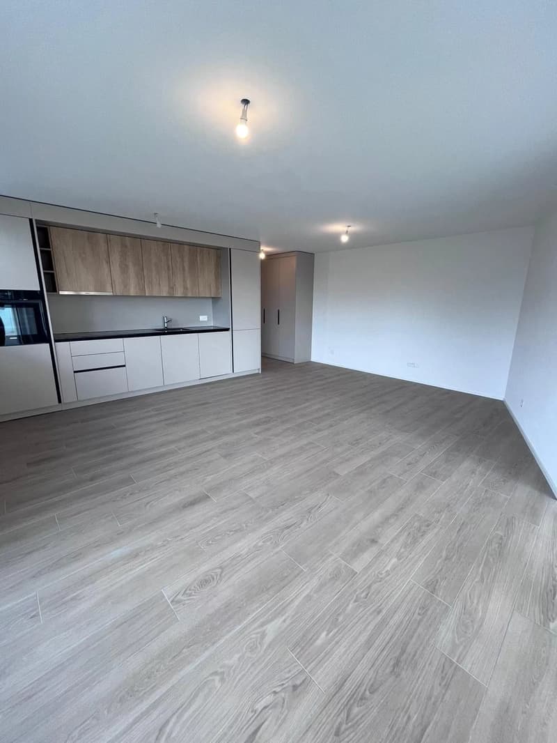 À LOUER ? Magnifique appartement neuf 2.5 pièces à Farvagny (8)