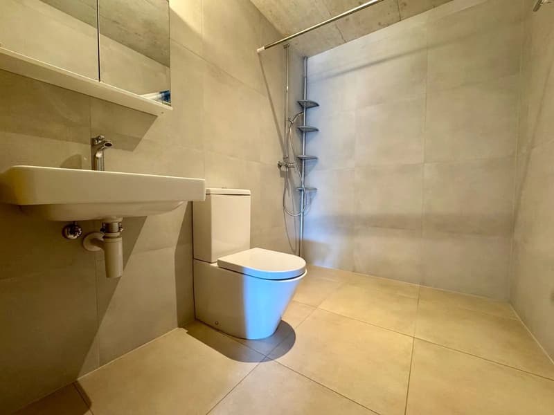A LOUER ? Superbe appartement avec encadrement de 2.5 pièces de 63 m² ? lumineux, avec ascenseur et sans seuil (11)