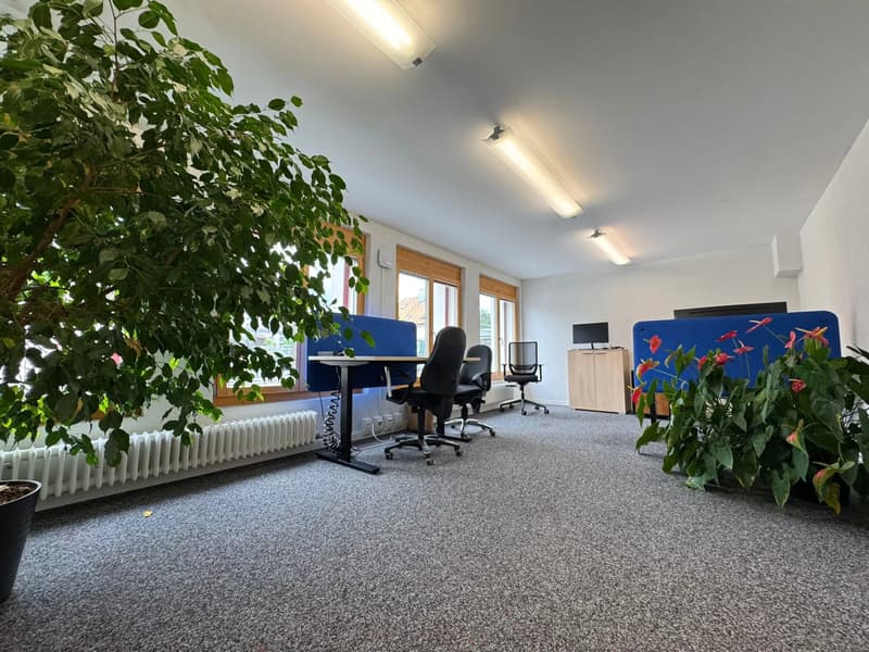 Bureaux meublés à louer (7)
