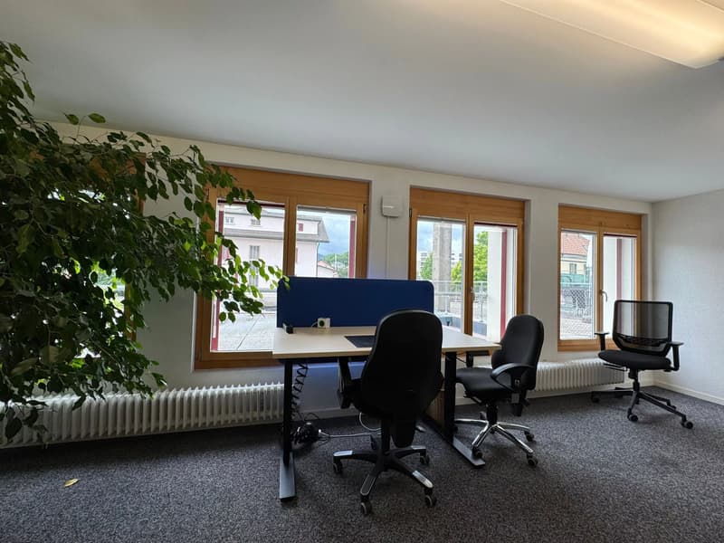 Bureaux meublés à louer (6)