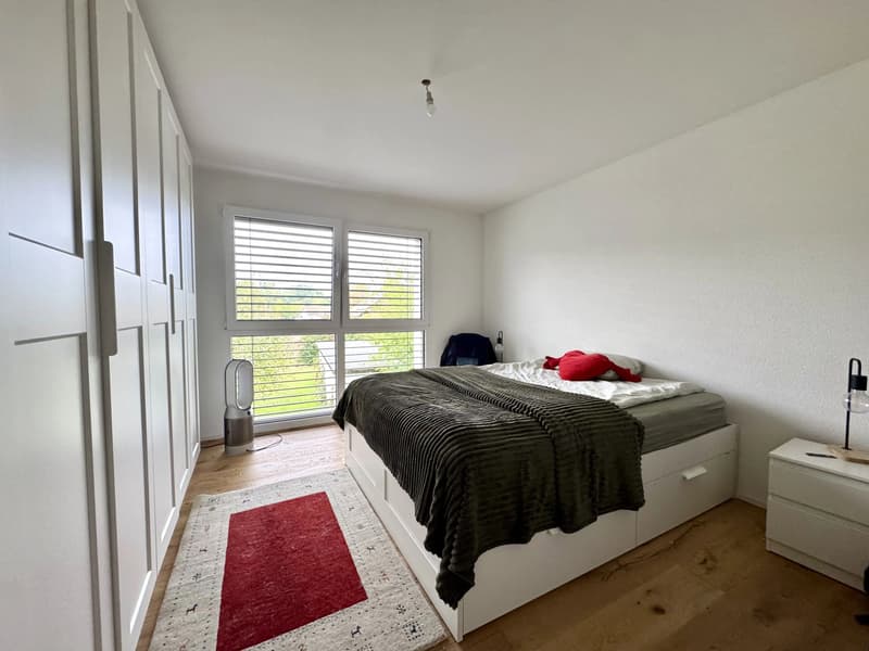 Appartement à deux pas du lac (3)