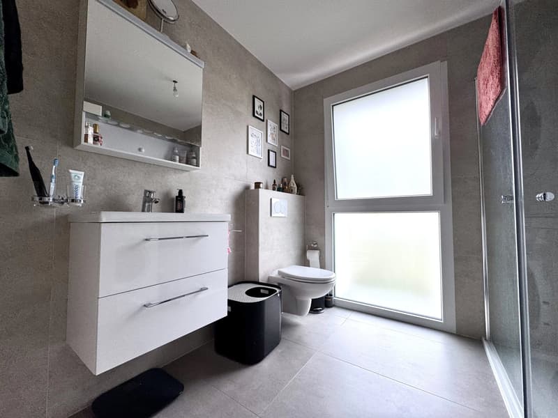 Appartement à deux pas du lac (8)