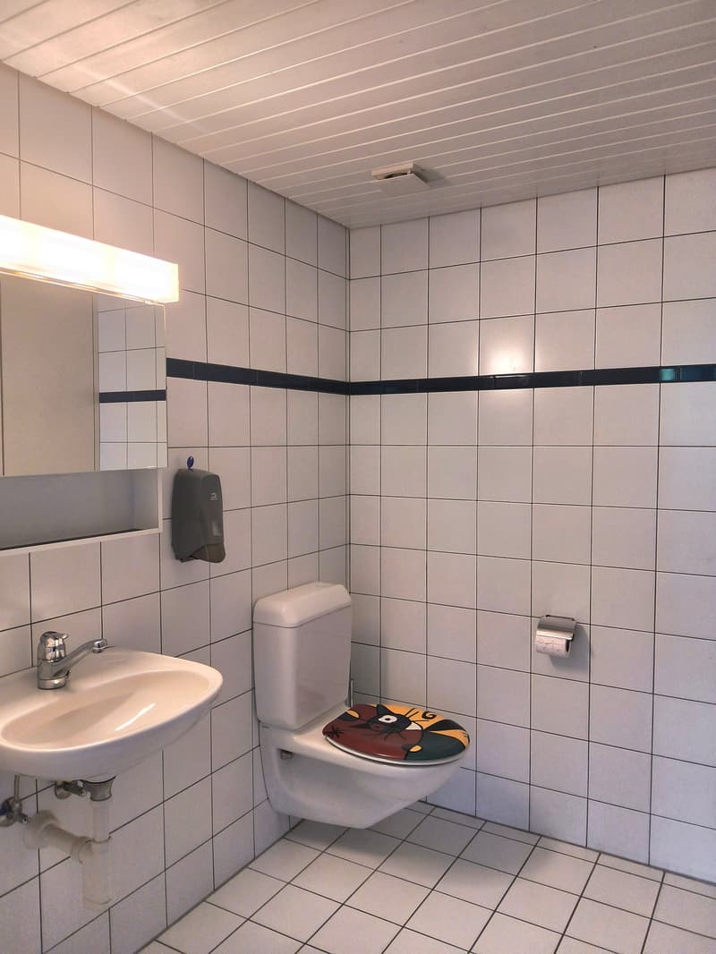 Espace commercial avec rampe dans un emplacement idéal à Bösingen à louer (3)