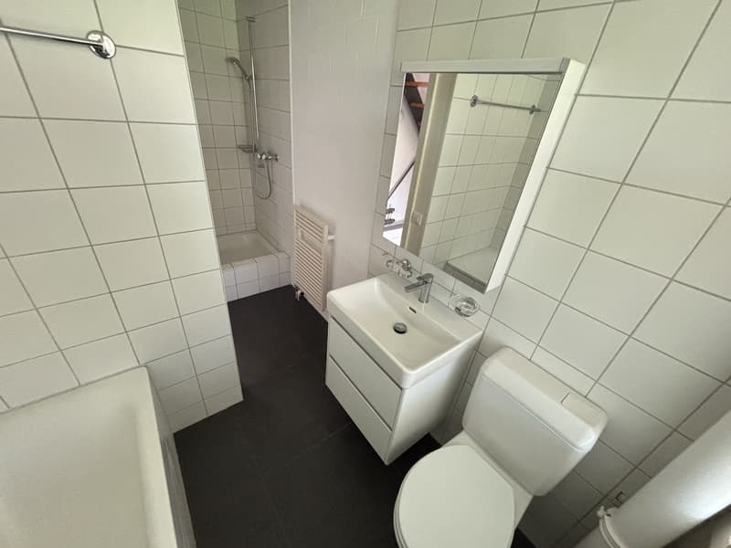 Modernes 5½-Zimmer Reihen-Einfamilienhaus mit Garten in Büren a. Aare zu vermieten (12)