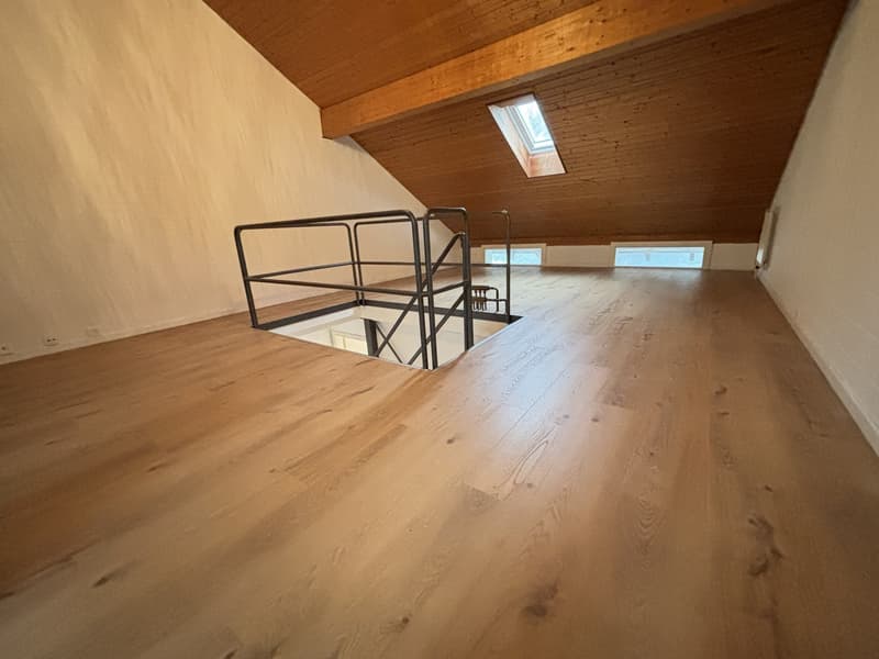 Modernes 5½-Zimmer Reihen-Einfamilienhaus mit Garten in Büren a. Aare zu vermieten (13)