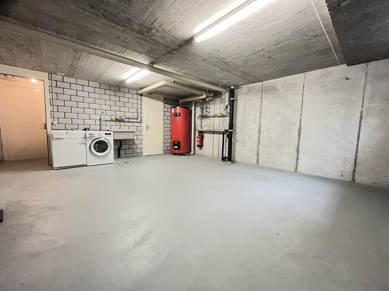 Modernes 5½-Zimmer Reihen-Einfamilienhaus mit Garten in Büren a. Aare zu vermieten (17)