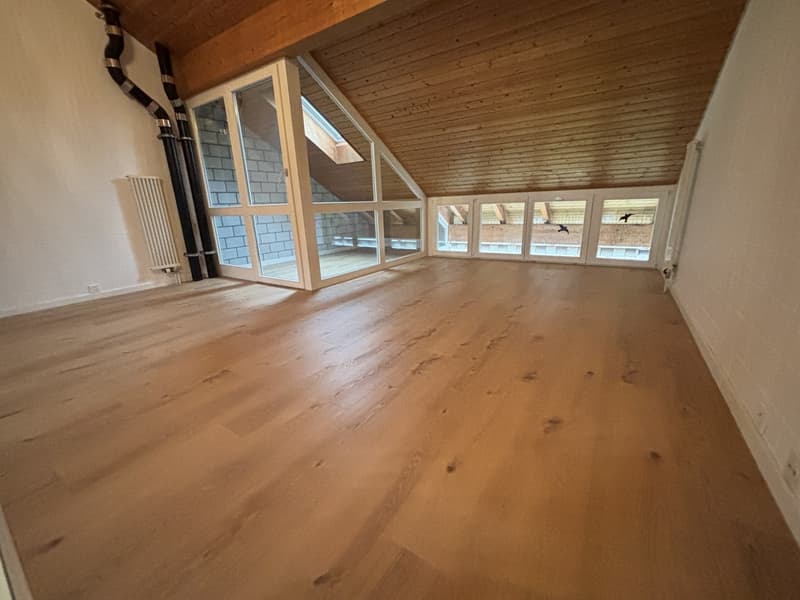 Modernes 5½-Zimmer Reihen-Einfamilienhaus mit Garten in Büren a. Aare zu vermieten (15)