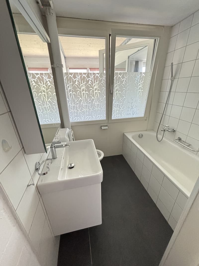 Modernes 5½-Zimmer Reihen-Einfamilienhaus mit Garten in Büren a. Aare zu vermieten (11)