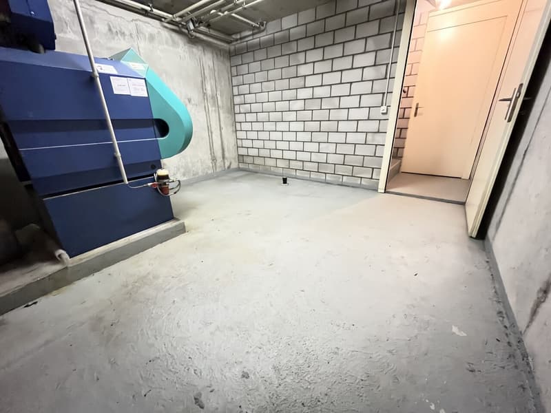 Modernes 5½-Zimmer Reihen-Einfamilienhaus mit Garten in Büren a. Aare zu vermieten (18)