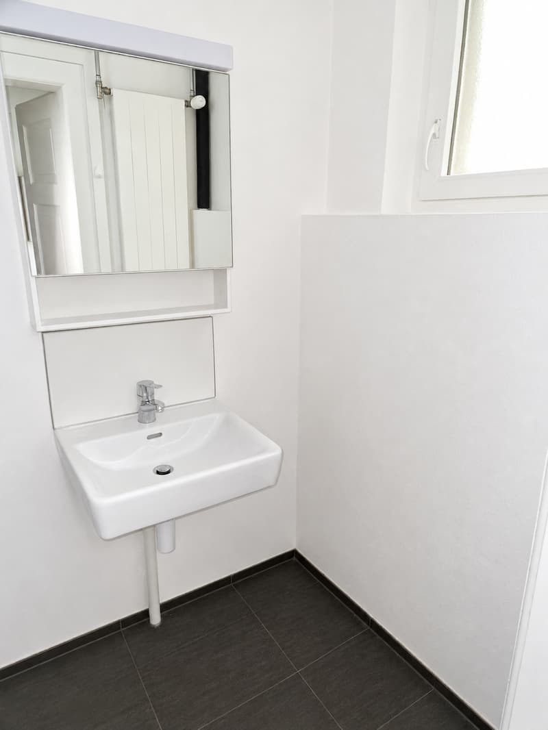 Grosszügige Studiowohnung in Lyss an Top Lage zu vermieten! (7)
