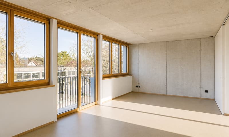 Attraktive 3½-Zimmer Attikawohnung mit grosser Loggia und Terrasse (5)