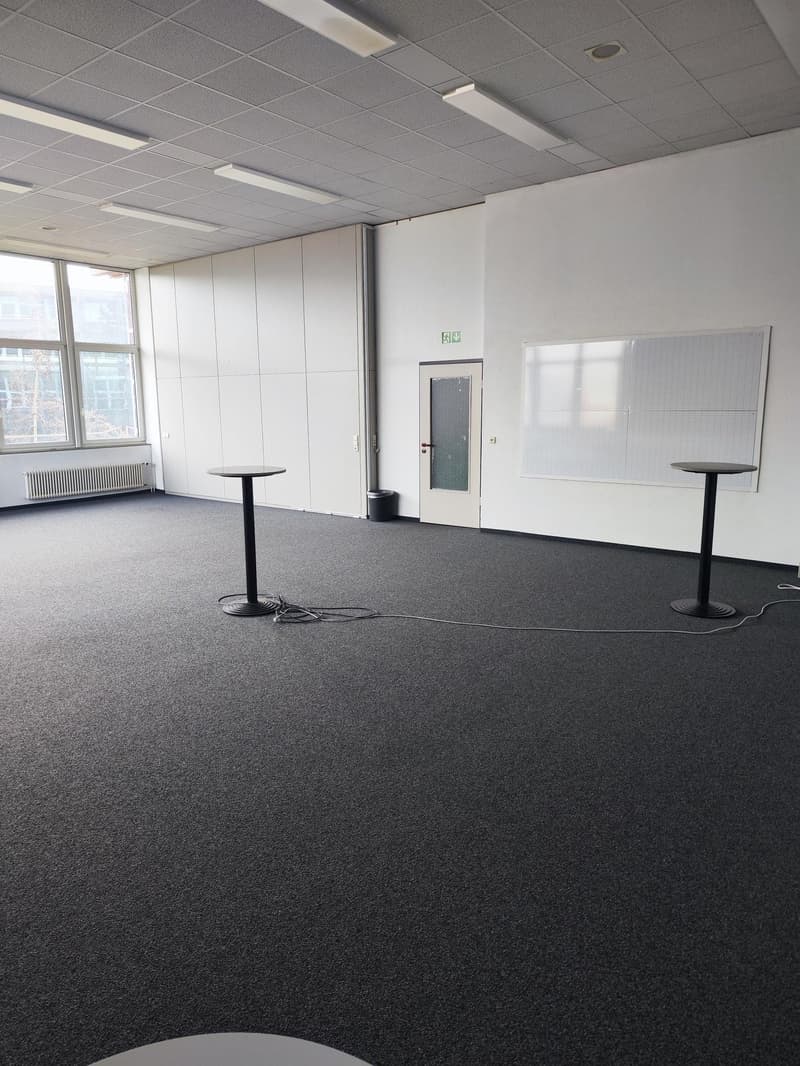 Helle Gewerbe- und Dienstleistungsfläche (2)