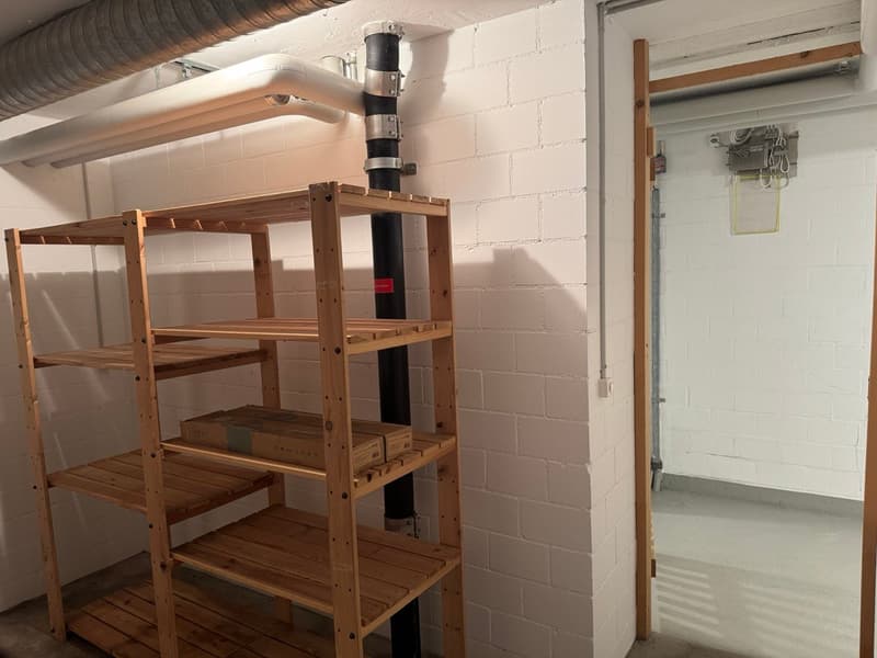Stilvoll und hochwertig renovierte Gartenwohnung an ruhiger Lage (13)