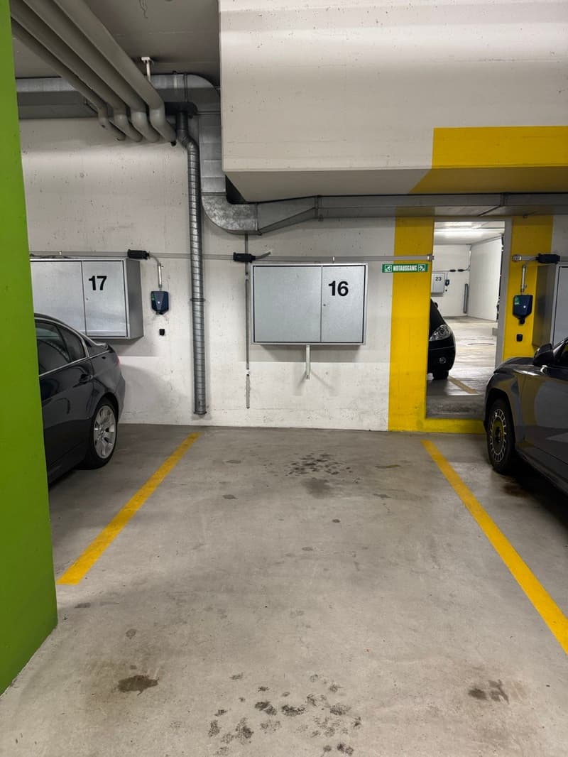 Stilvoll und hochwertig renovierte Gartenwohnung an ruhiger Lage (14)
