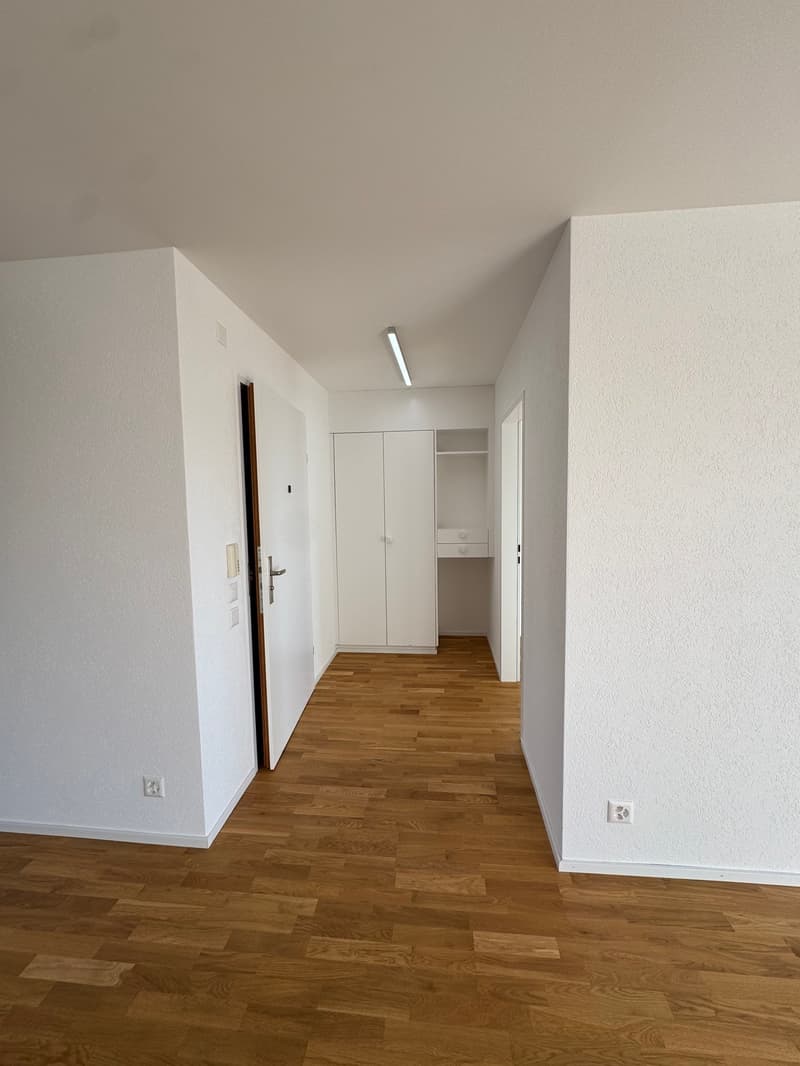 Neu renovierte 4.5-Zimmerwohnung in Zürich-Höngg mit Weitsicht (7)