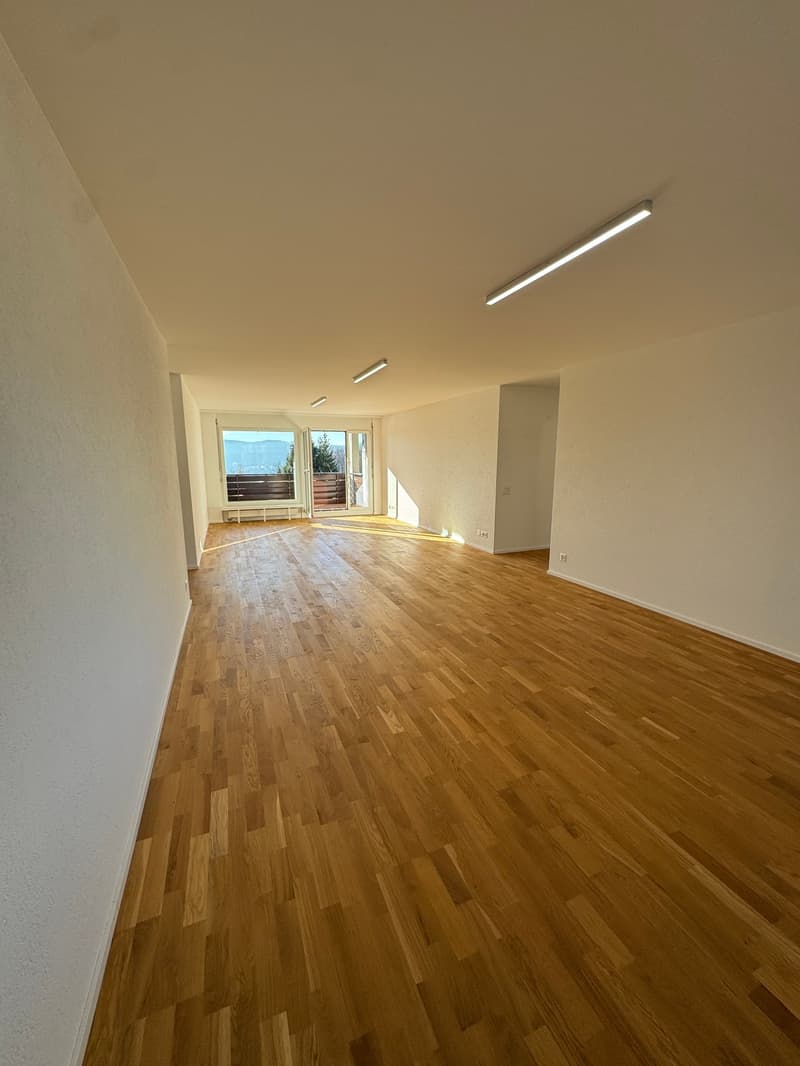 Neu renovierte 4.5-Zimmerwohnung in Zürich-Höngg mit Weitsicht (3)