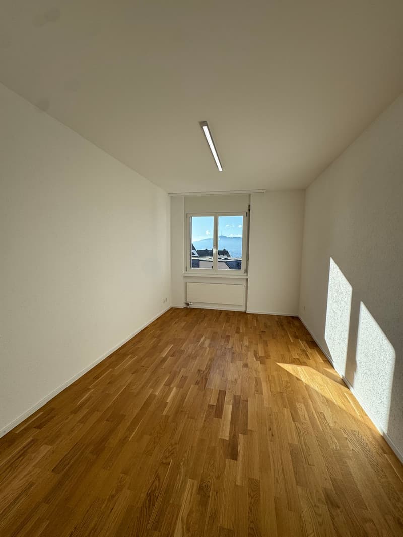 Neu renovierte 4.5-Zimmerwohnung in Zürich-Höngg mit Weitsicht (4)