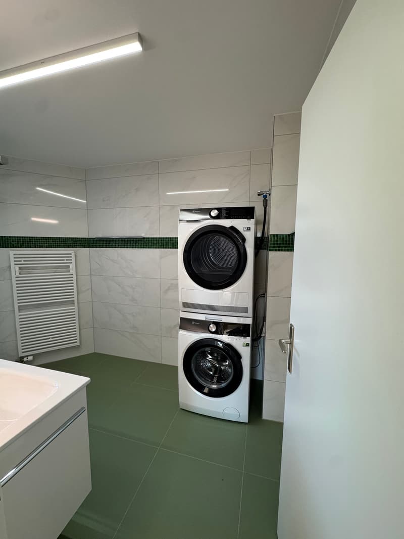 Neu renovierte 4.5-Zimmerwohnung in Zürich-Höngg mit Weitsicht (10)