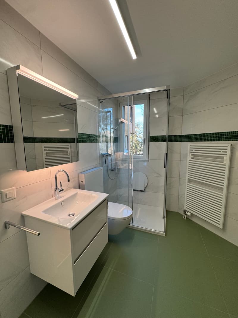 Neu renovierte 4.5-Zimmerwohnung in Zürich-Höngg mit Weitsicht (9)