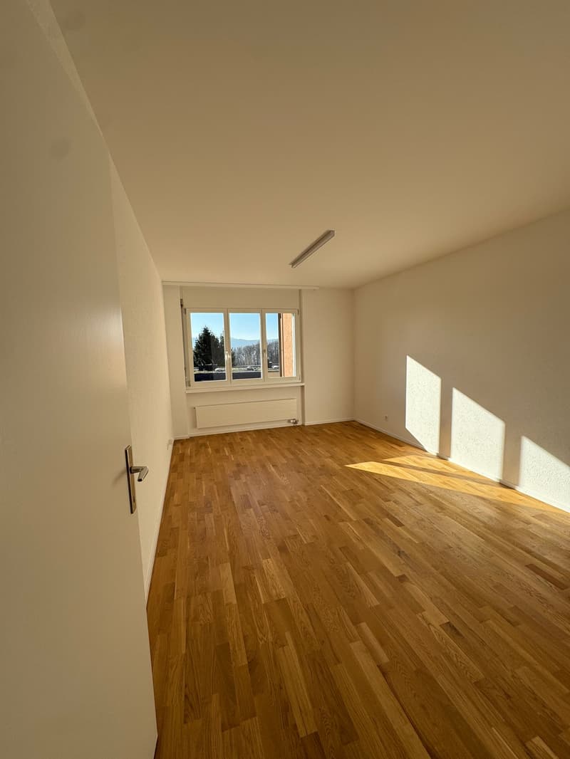 Neu renovierte 4.5-Zimmerwohnung in Zürich-Höngg mit Weitsicht (6)
