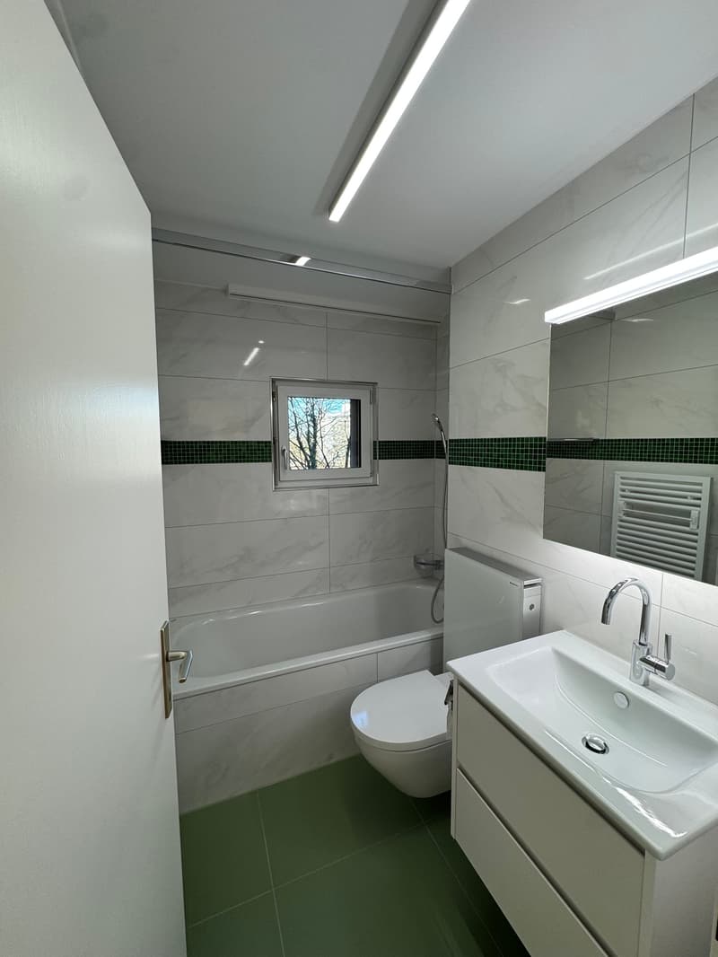 Neu renovierte 4.5-Zimmerwohnung in Zürich-Höngg mit Weitsicht (8)