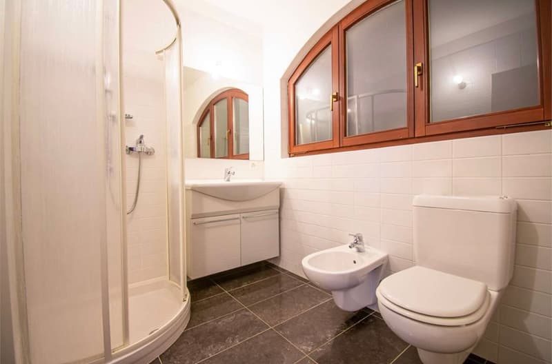 Bathroom with white tiles, arched wooden windows, vanity sink, toilet, and shower enclosure