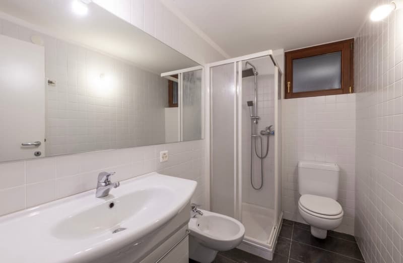 Tiled bathroom with a sink, toilet, and shower enclosure