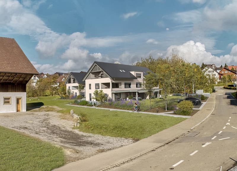 New build two-storey house, large windows, modern architectural design, driveway, garden with flowers, road with parked car.