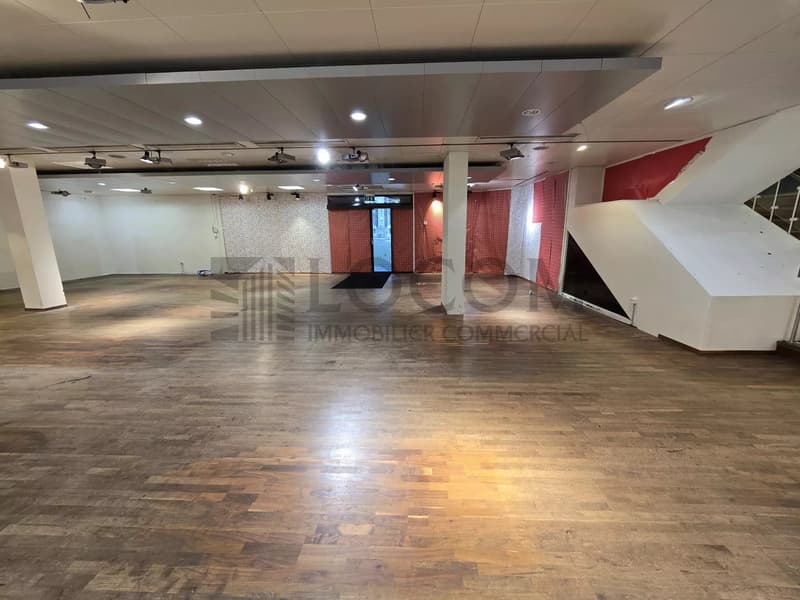 Exclusif dans l'hyper-centre de Lausanne (8)