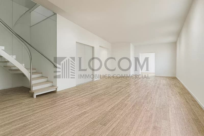 Exclusif dans l'hyper-centre de Lausanne (4)