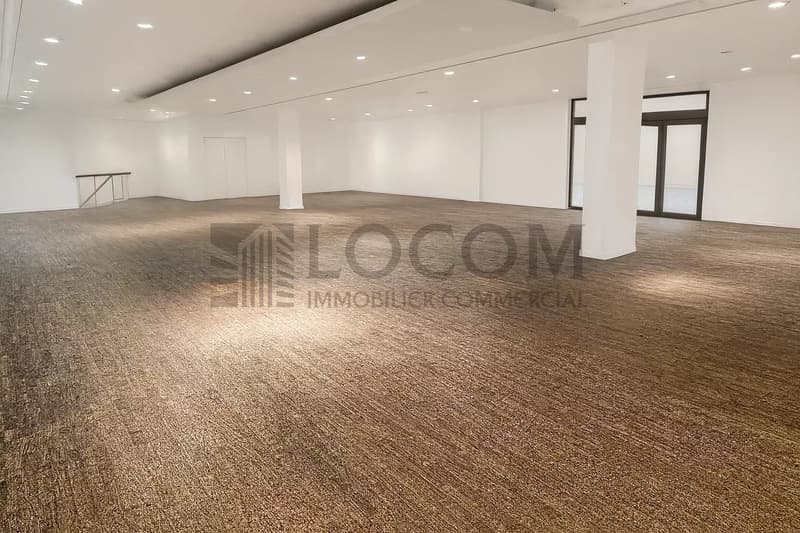 Exclusif dans l'hyper-centre de Lausanne (5)